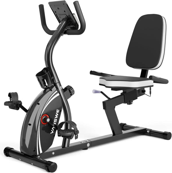 Recumbent Exercise Bike for Adults